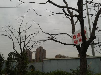 An der Bushaltestelle in Pudong